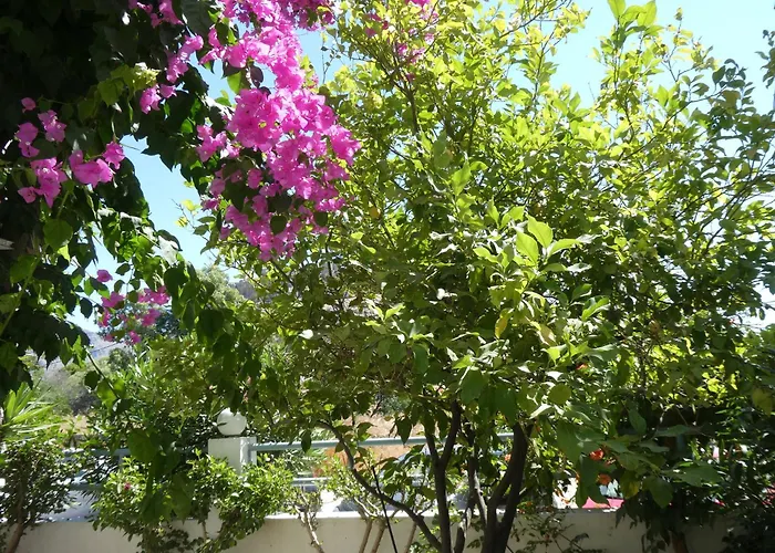 公寓 城堡景公寓 哈拉奇