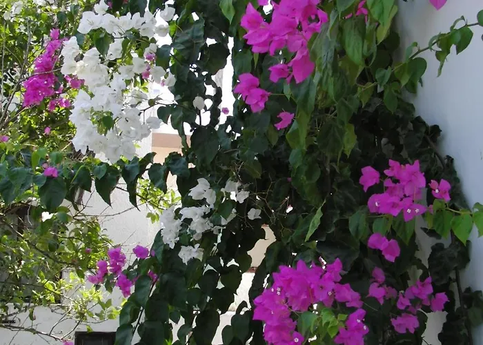 城堡景公寓 哈拉奇