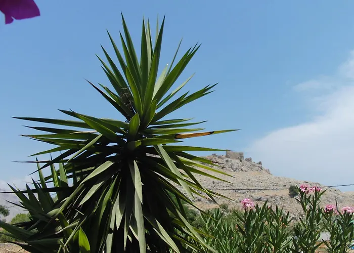 城堡景公寓 公寓 *