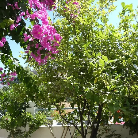 Apartamento Castle View Charaki
