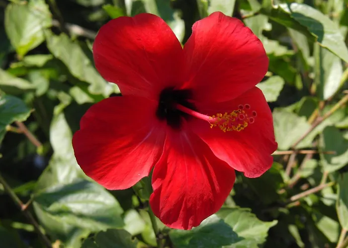 Castle View Daire Haraki