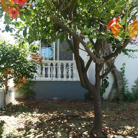 شقة Castle View *